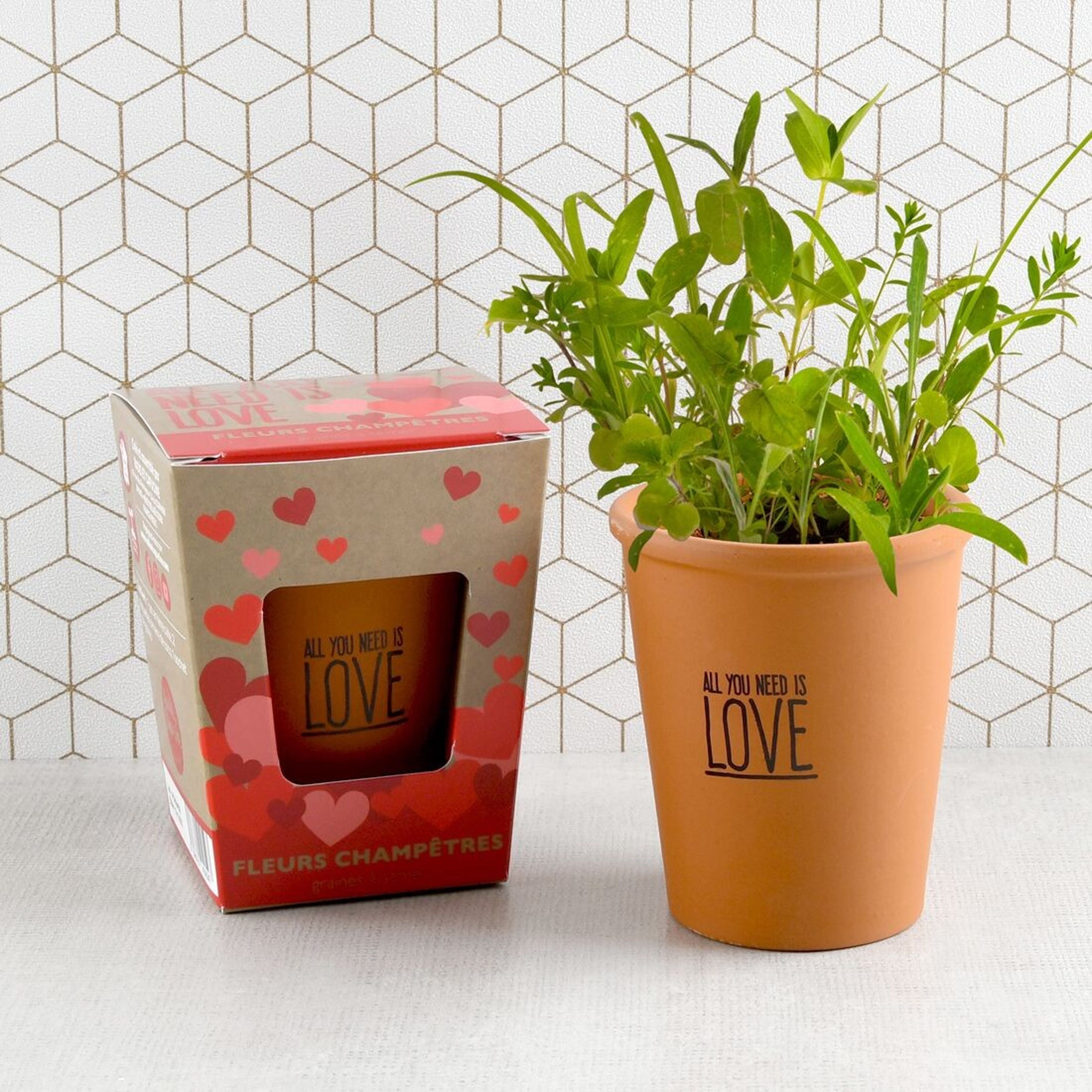 Kit à planter "All you need is love" Fleurs