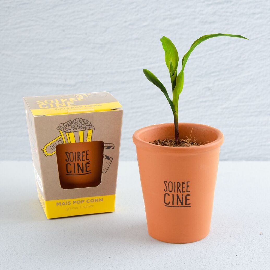 Kit à planter "Soirée Ciné" Maïs Popcorn